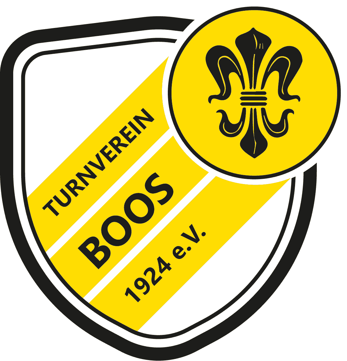 Logo TV Boos